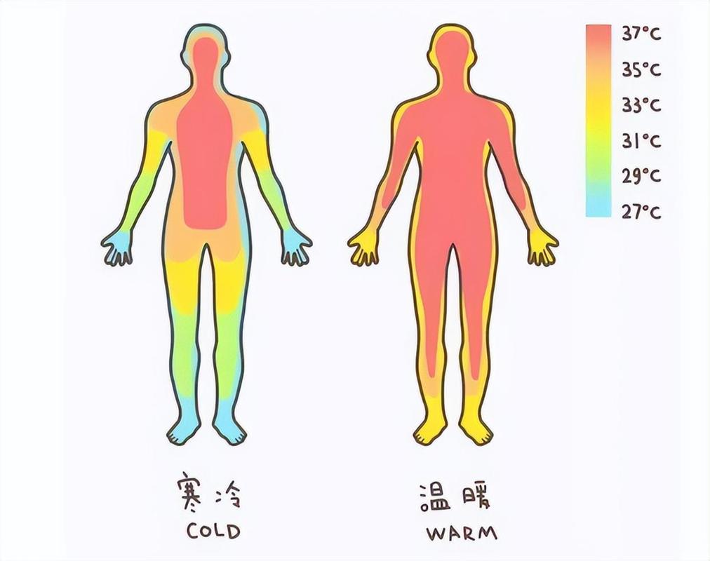 人体能承受的最高水温