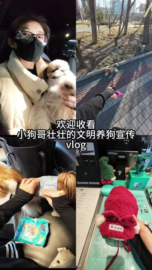 我的世界如何养狗