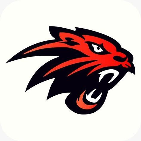 山猫直播体育nba缩略图