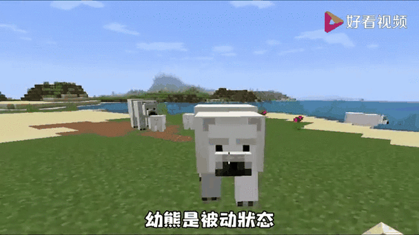 小熊的视频我的世界截图