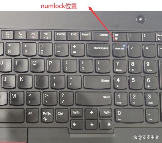 电脑的numlock键在哪里