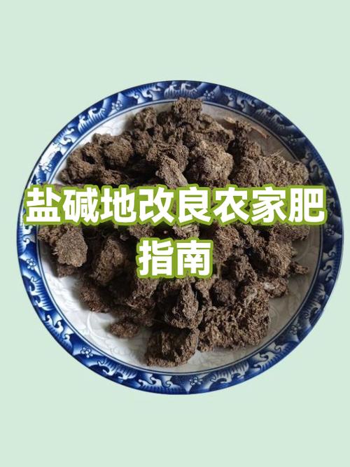盐碱地的最佳肥料