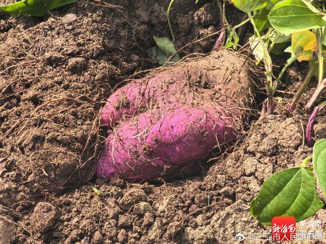 致富宝app官方下载