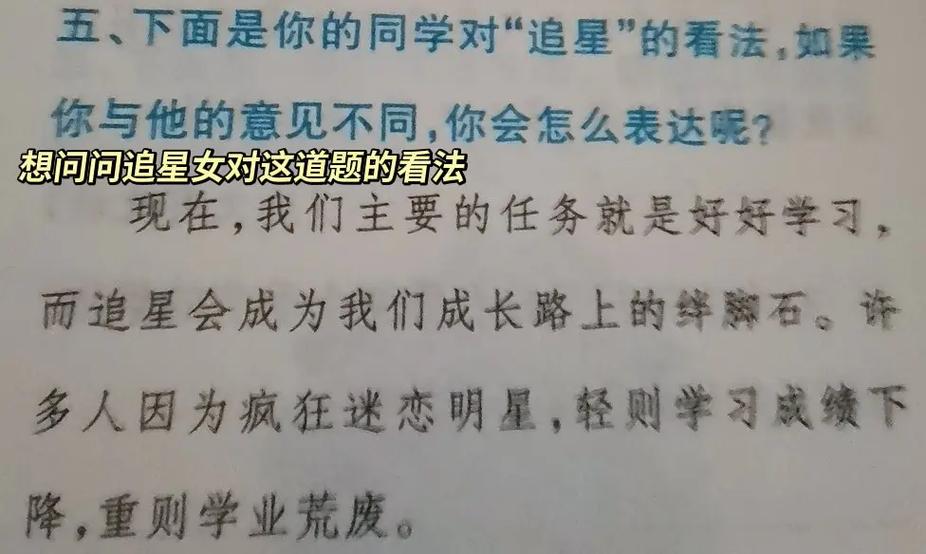 追星女的爱无解