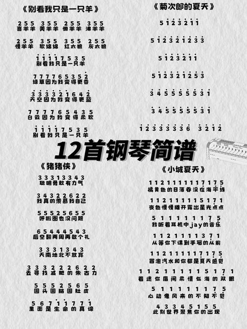 电子琴琴谱简单 初学者
