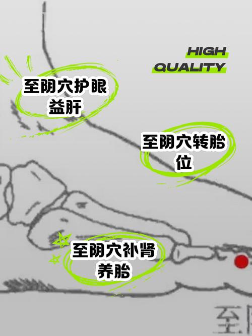 至阴至寒十大最强武功