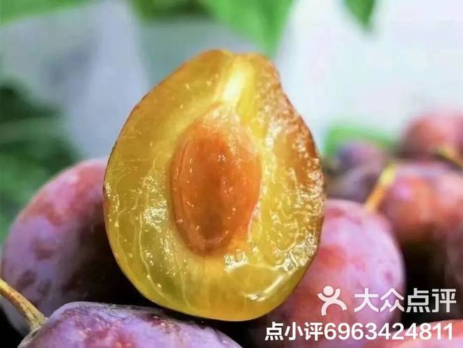 西梅app口碑