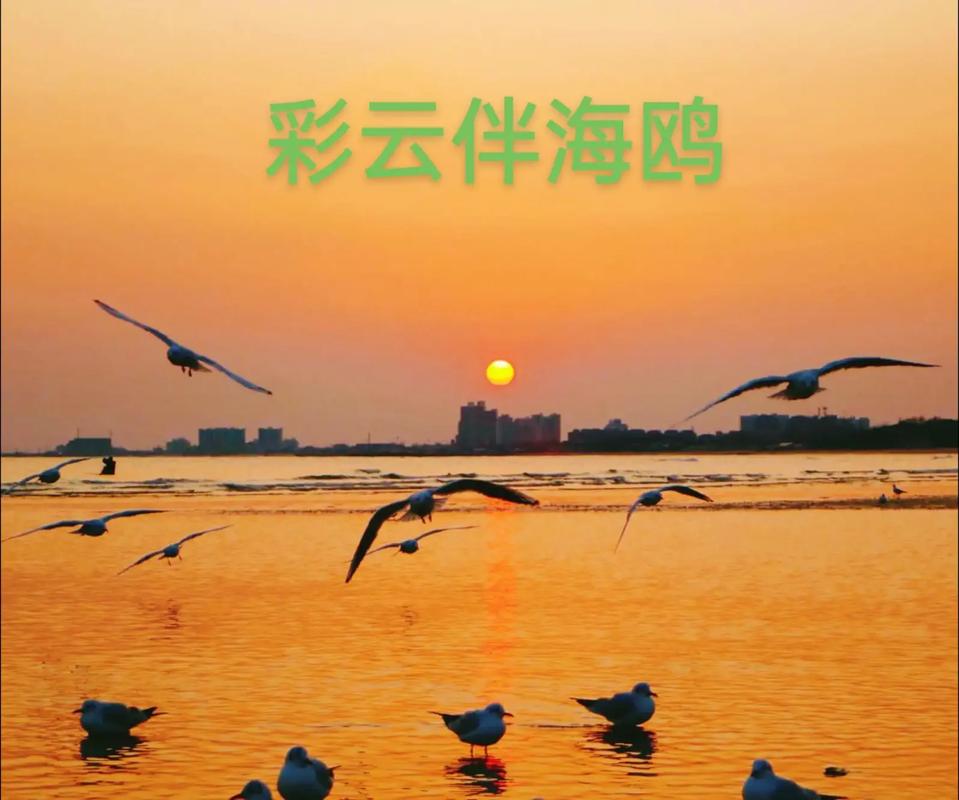 彩云伴海鸥最经典十句话