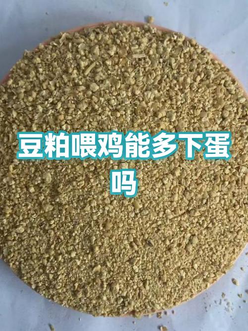 鸡饲料缩略图