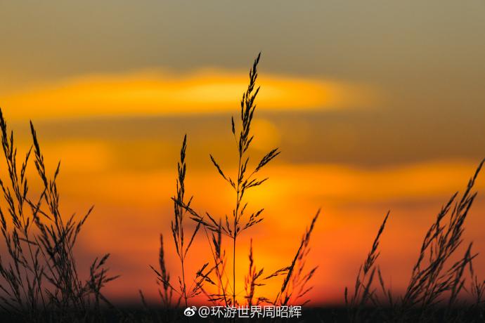 晨光微曦图标