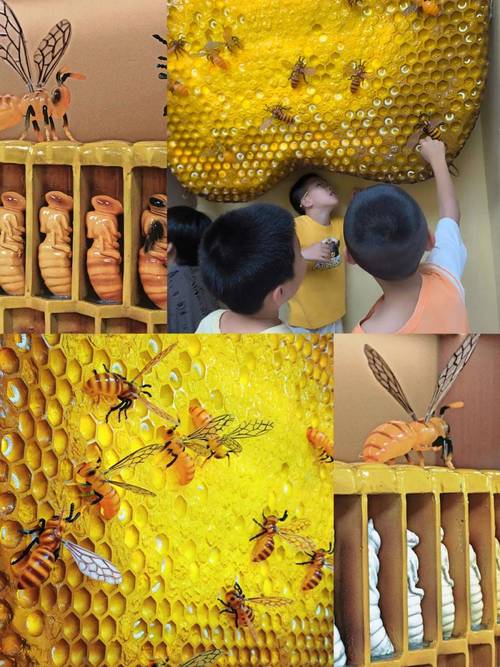 蜜蜂巢模型小学科学作业