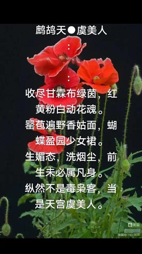 虞美人的情感