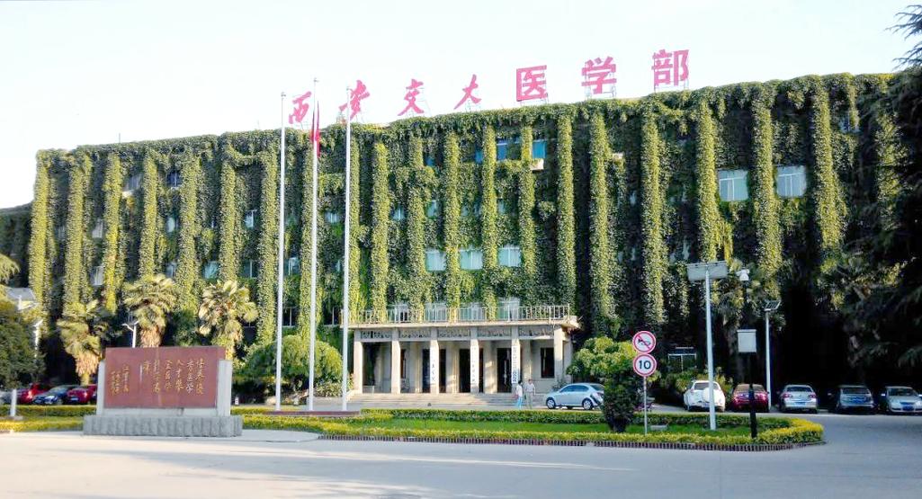西安交大医院主要治什么