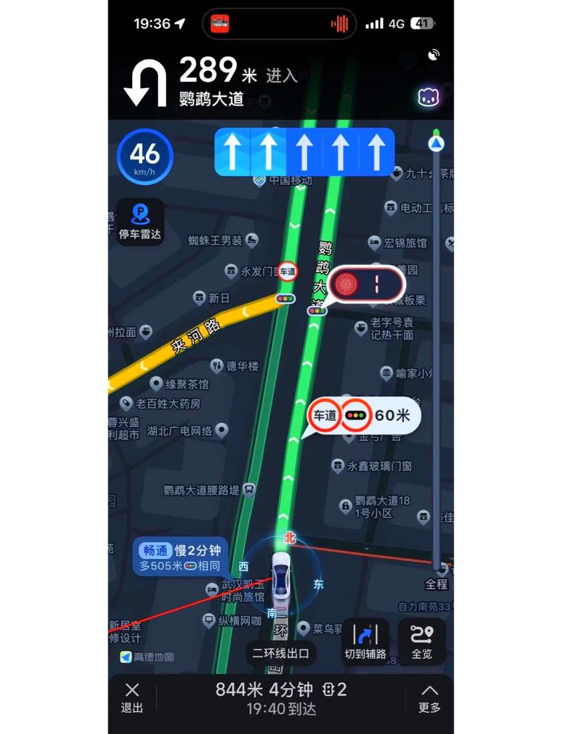 Nyaa官网是多少