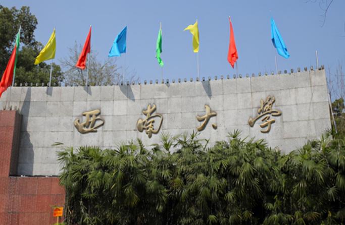 西南大学2026招生简章游戏截图