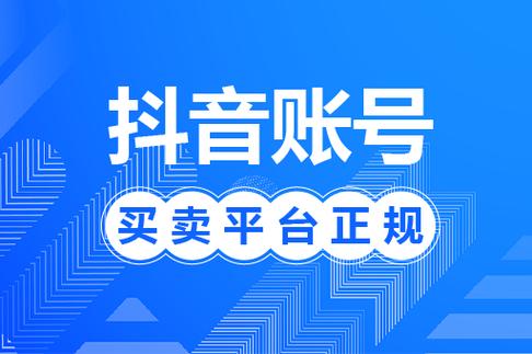 抖号网