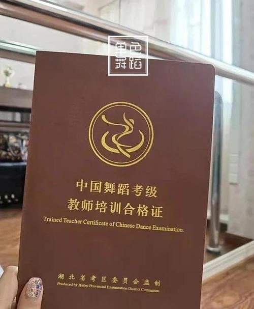 亲爱的爸爸妈妈舞蹈考级视频二级牙截图