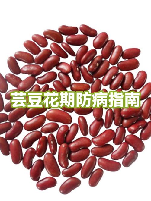 芸豆花属于国家打击范围吗