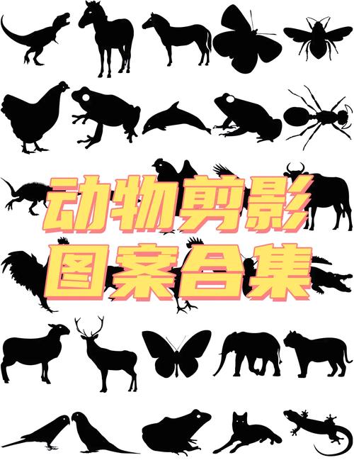 怎么让剪影访问相册