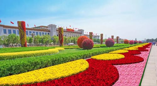 国庆花坛常用花卉绿色缩略图