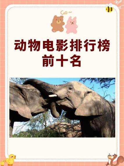 影视大全排行榜游戏截图