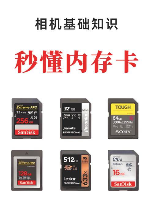 相机的存储卡在哪里插