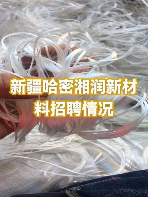 哈密更新最快的招聘网站