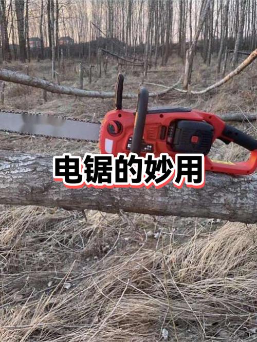 电动锯突然不能启动了