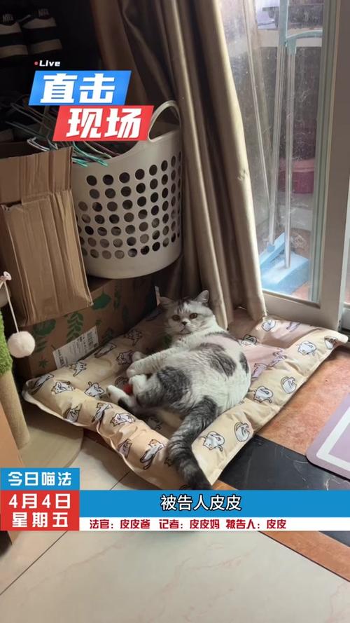 皮皮喵怎么导入来源站点
