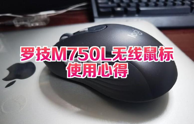 罗技m750海外版为啥那么便宜