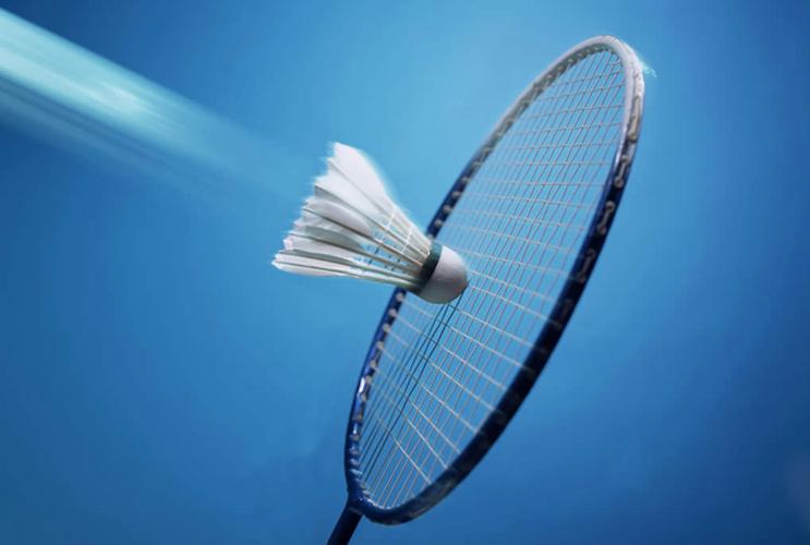 badminton羽毛球
