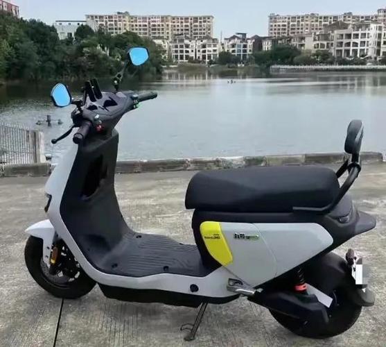 九号电动车3000左右缩略图