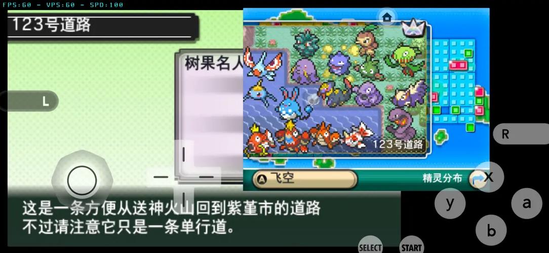 口袋妖怪:终极红宝石始源蓝宝石