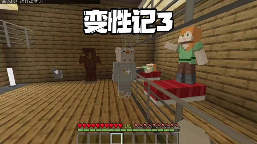 我的世界变性记3