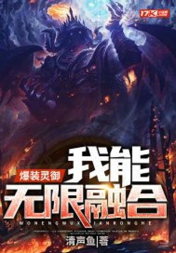 无限融合新手装备的小说