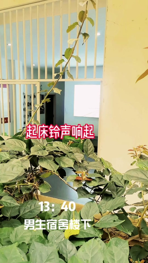 高中生起床铃声缩略图