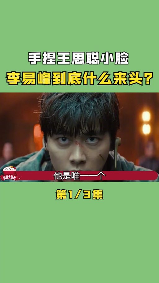 李易峰身价