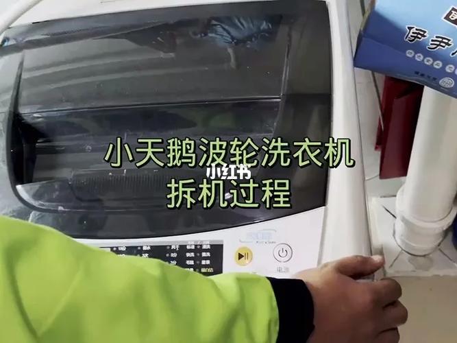拆卸小天鹅波轮视频