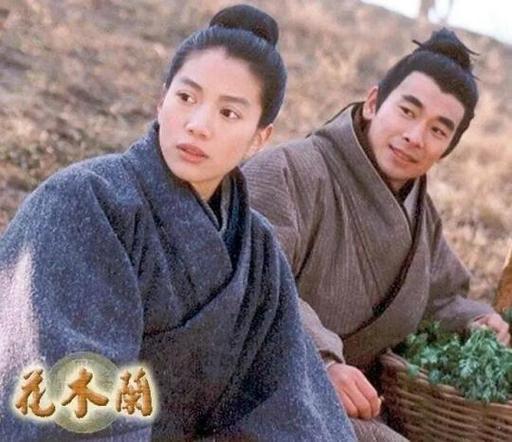 征服花木兰小说阅读