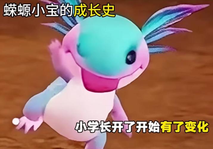 蝾螈小宝刷新位置