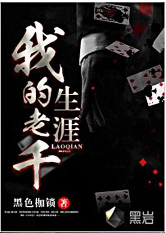 我的老千生涯黑岩阁