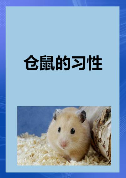 小仓鼠一直站着跳是怎么了