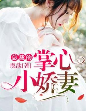 小仲夏小说