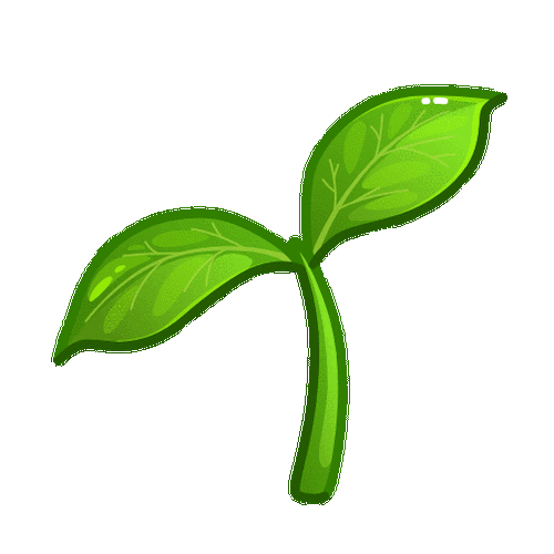 绿色圆圈emoji符号
