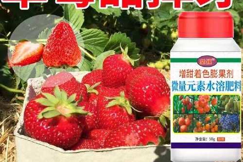 草莓打膨大剂图片图标