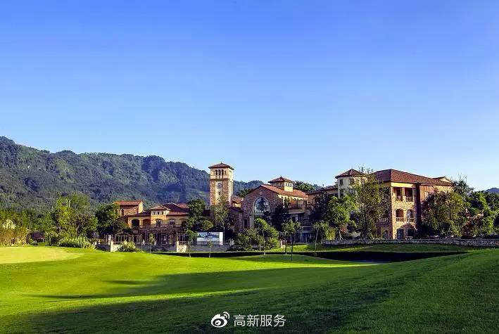 成都猫咪公社怎么样