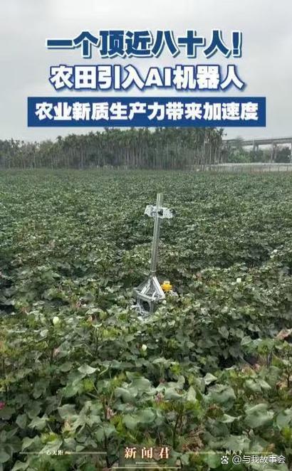 棉花最新消息