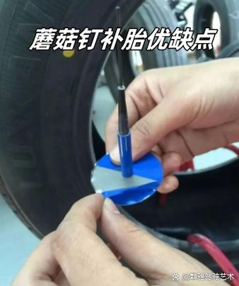 蘑菇钉一般用几年会掉