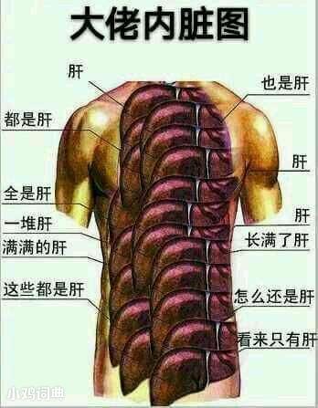 什么是肝帝玩家