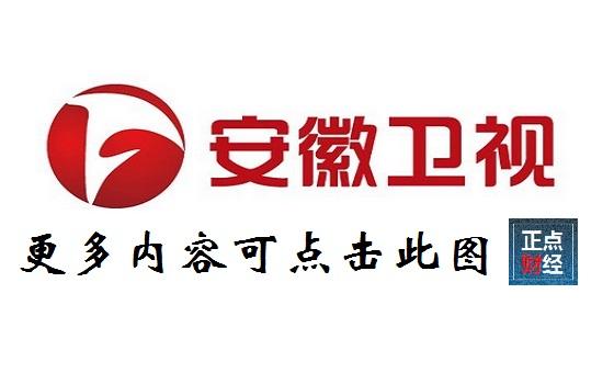 安徽卫视 在线观看